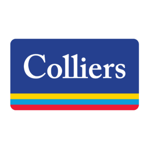 CROSS CULTURAL & CROSS BORDER MARKETING 3