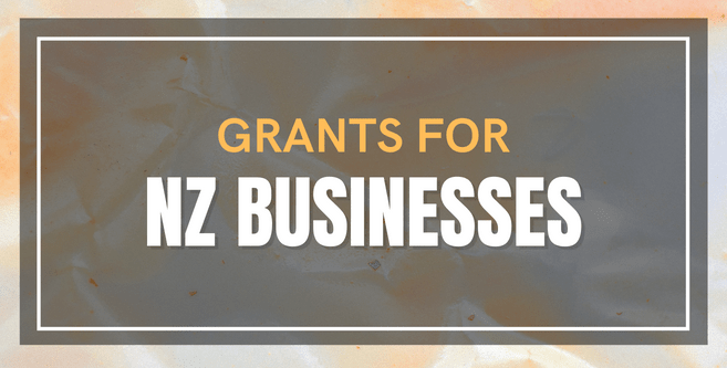 Markeitng Minds NZ Grants for Business Website Homepage Banner Markeitng Minds NZ Grants for Business Website Homepage Banner